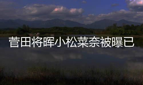 男方菜奈被曝小松菅田将晖居 结婚打算已同已有